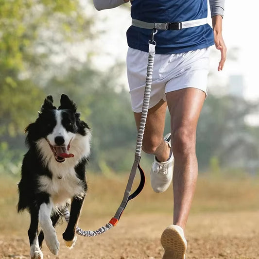 Ultimate Hands-Free Retractable Dog Leash for Running - Perfect for Large Dogs!
