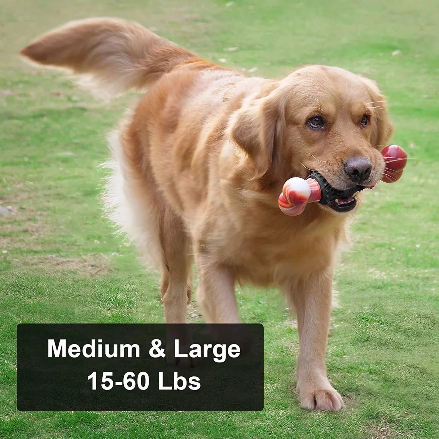 Indestructible Dog Bone Toy for Aggressive Chewers - Interactive Chew Toy for Medium to Large Dogs by Dinosam