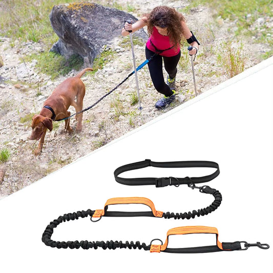 Ultimate Hands-Free Retractable Dog Leash for Running - Double Handles, Elastic Cord & Reflective Design for Large Dogs