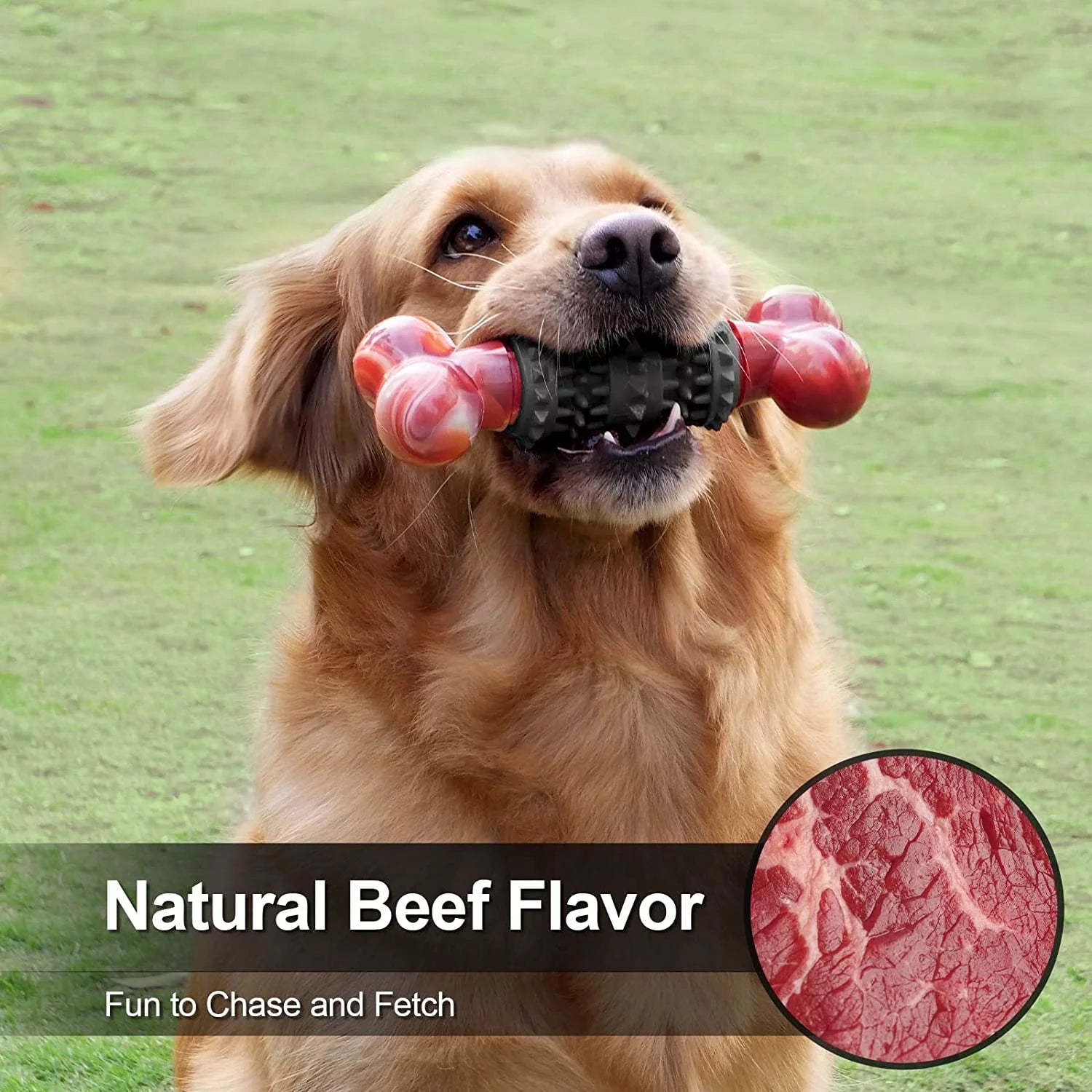 Indestructible Dog Bone Toy for Aggressive Chewers - Interactive Chew Toy for Medium to Large Dogs by Dinosam