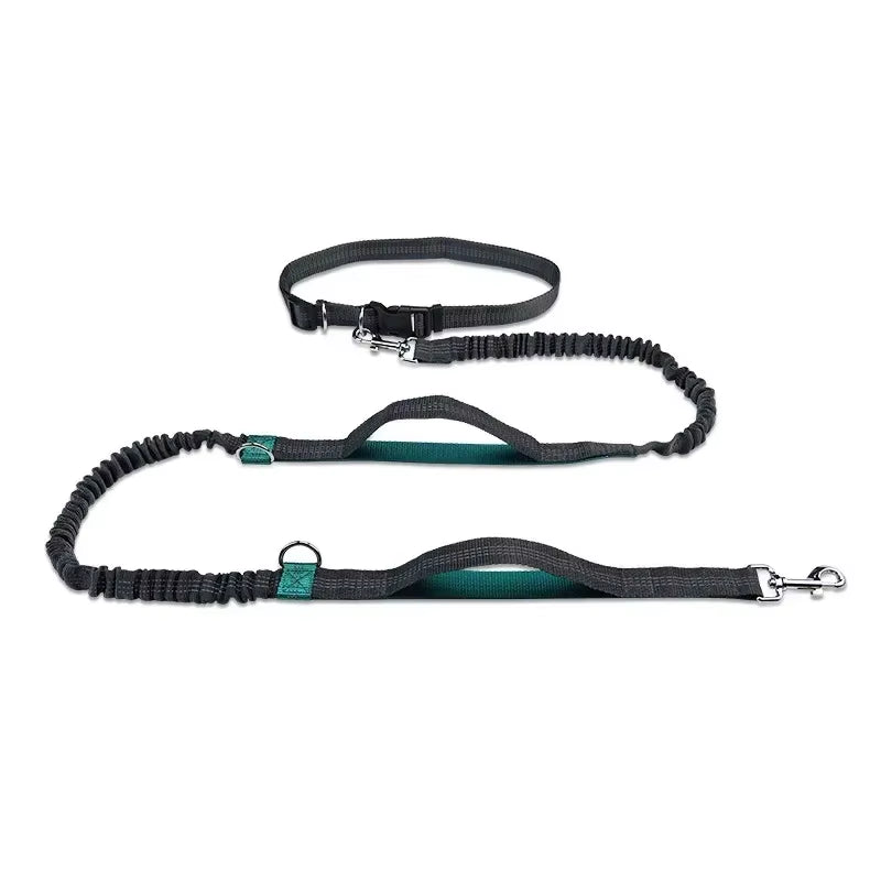 Ultimate Hands-Free Retractable Dog Leash for Running - Perfect for Large Dogs!
