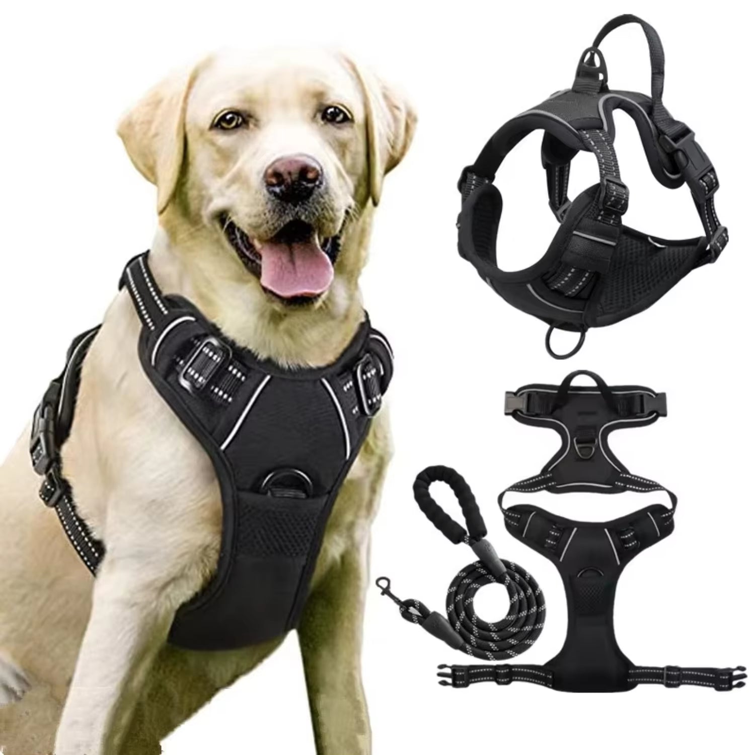 Premium Retractable Dog Collar and Leash Set - Stylish Wire Training Harness for Your Beloved Pet