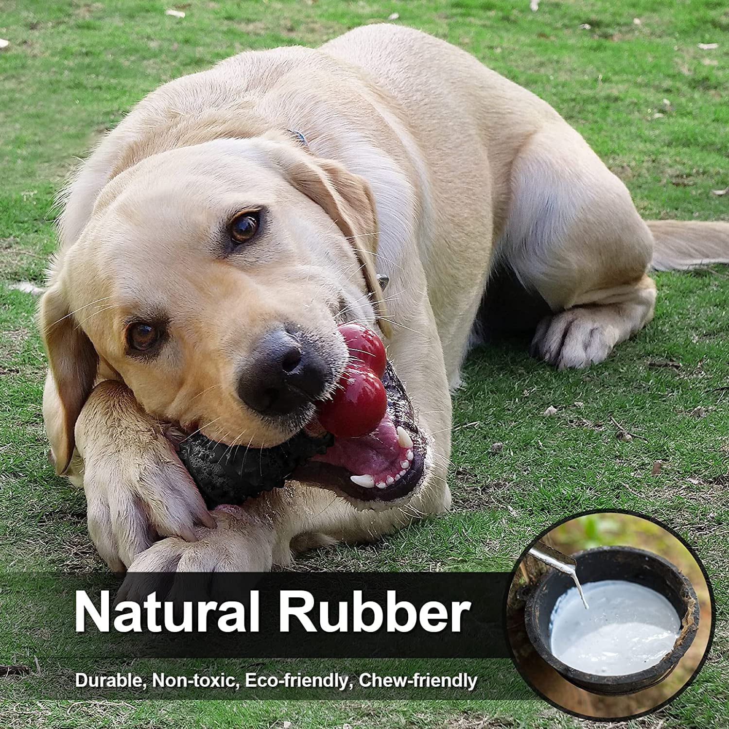 Indestructible Dog Bone Toy for Aggressive Chewers - Interactive Chew Toy for Medium to Large Dogs by Dinosam