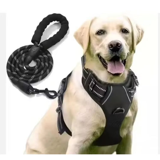 Premium Retractable Dog Collar and Leash Set - Stylish Wire Training Harness for Your Beloved Pet