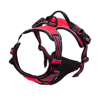 Premium Retractable Dog Collar and Leash Set - Stylish Wire Training Harness for Your Beloved Pet