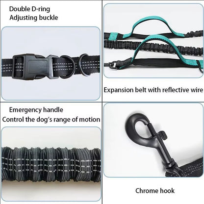 Ultimate Hands-Free Retractable Dog Leash for Running - Double Handles, Elastic Cord & Reflective Design for Large Dogs