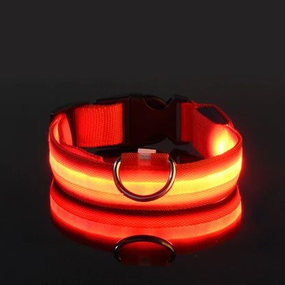 LED Glow Dog Leash
