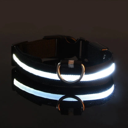 LED Glow Dog Leash