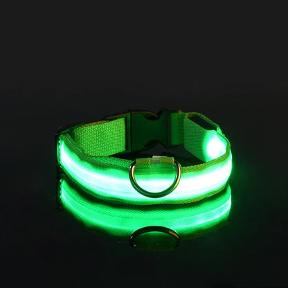 LED Glow Dog Leash