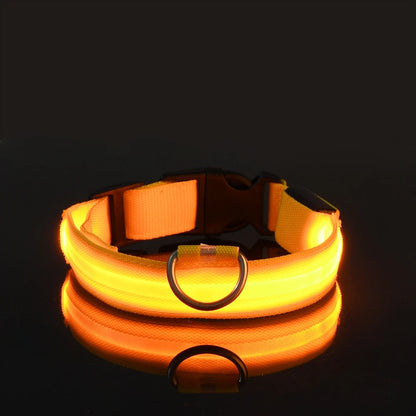 LED Glow Dog Leash
