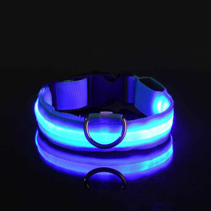 LED Glow Dog Leash