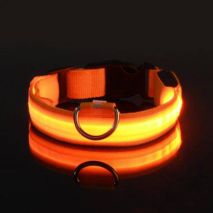 LED Glow Dog Leash