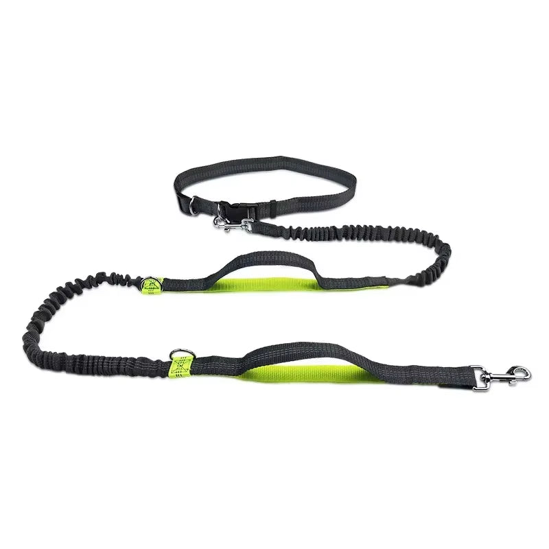 Ultimate Hands-Free Retractable Dog Leash for Running - Perfect for Large Dogs!