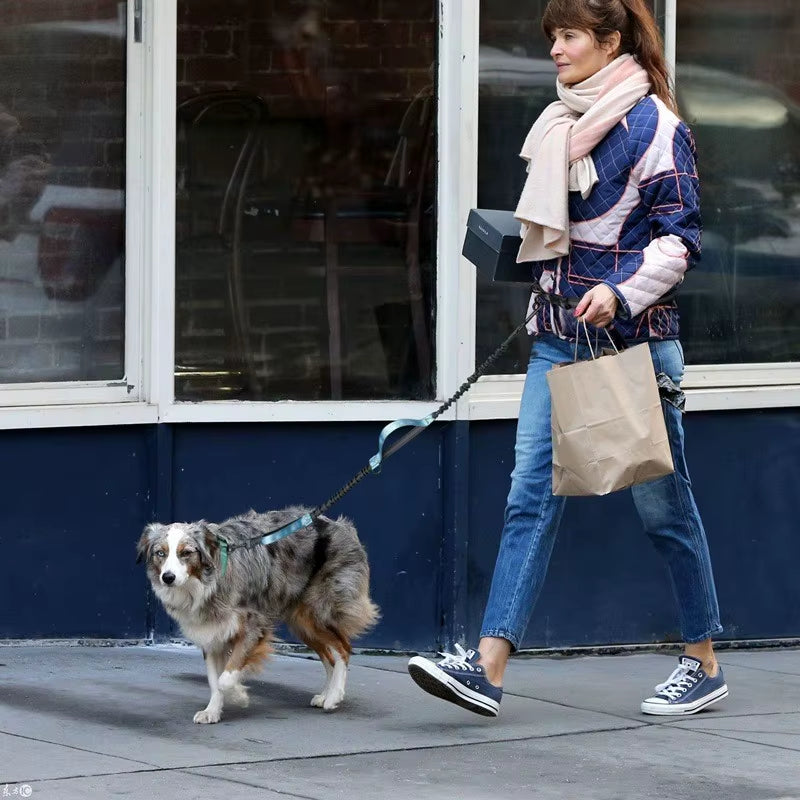 Ultimate Hands-Free Retractable Dog Leash for Running - Double Handles, Elastic Cord & Reflective Design for Large Dogs