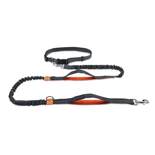 Ultimate Hands-Free Retractable Dog Leash for Running - Perfect for Large Dogs!