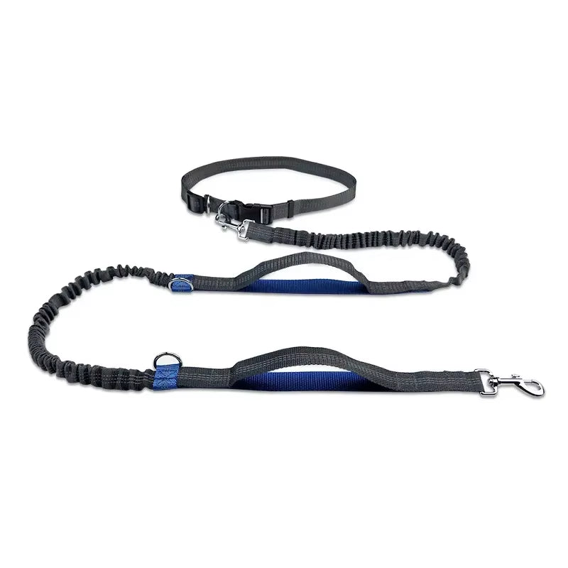 Ultimate Hands-Free Retractable Dog Leash for Running - Perfect for Large Dogs!