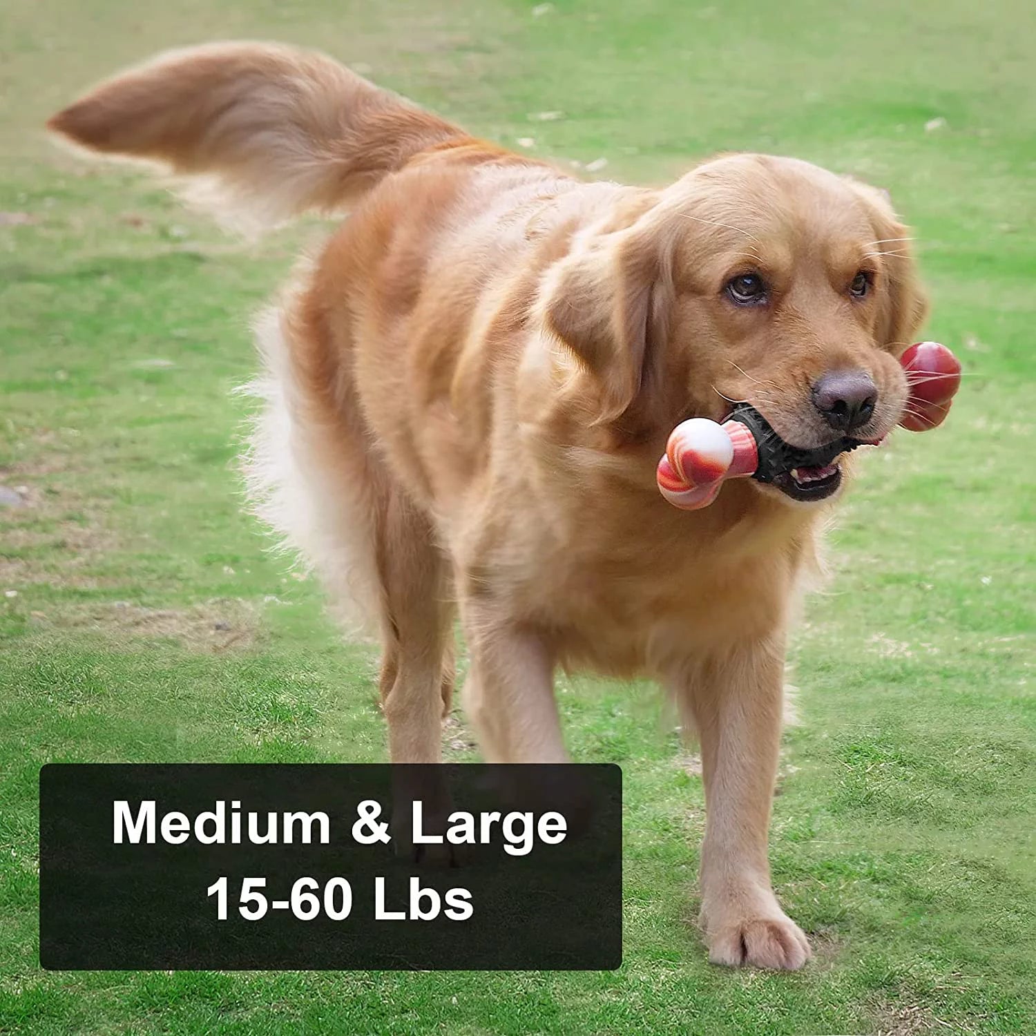 Indestructible Dog Bone Toy for Aggressive Chewers - Interactive Chew Toy for Medium to Large Dogs by Dinosam