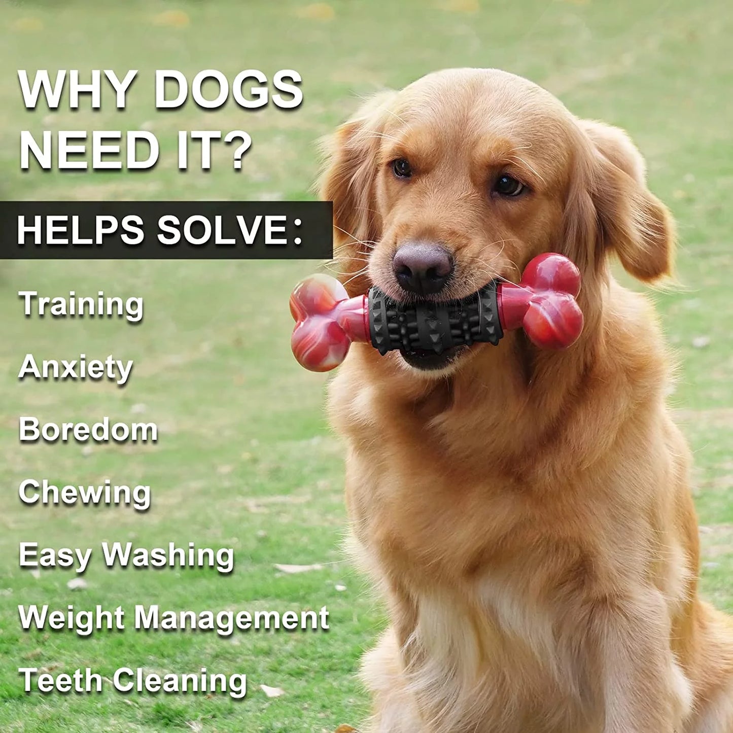 Indestructible Dog Bone Toy for Aggressive Chewers - Interactive Chew Toy for Medium to Large Dogs by Dinosam