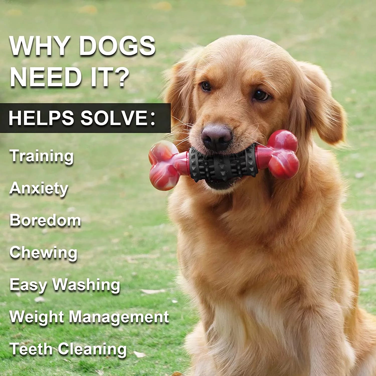 Indestructible Dog Bone Toy for Aggressive Chewers - Interactive Chew Toy for Medium to Large Dogs by Dinosam